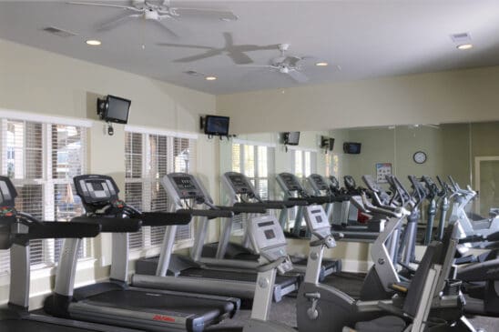 Modern gym with treadmills and stationary bikes