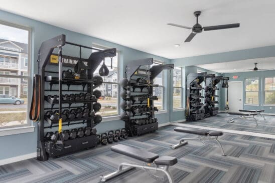 Modern gym with TRX equipment and dumbbells