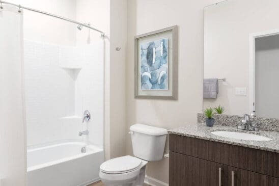 Modern bathroom with bathtub, toilet, granite vanity